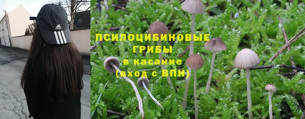 амф Алексеевка